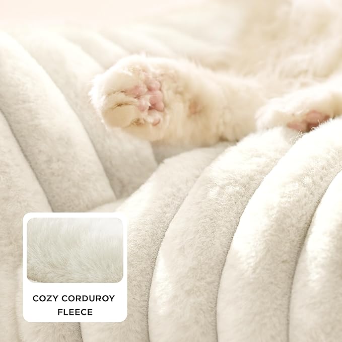 NeteNete Cute Pet Sofa – Fluffy Pet Couch Made with Premium Soft Corduroy, Washable Removable Cover, Luxurious Indoor Cat Bed, Supportive Pet Chair